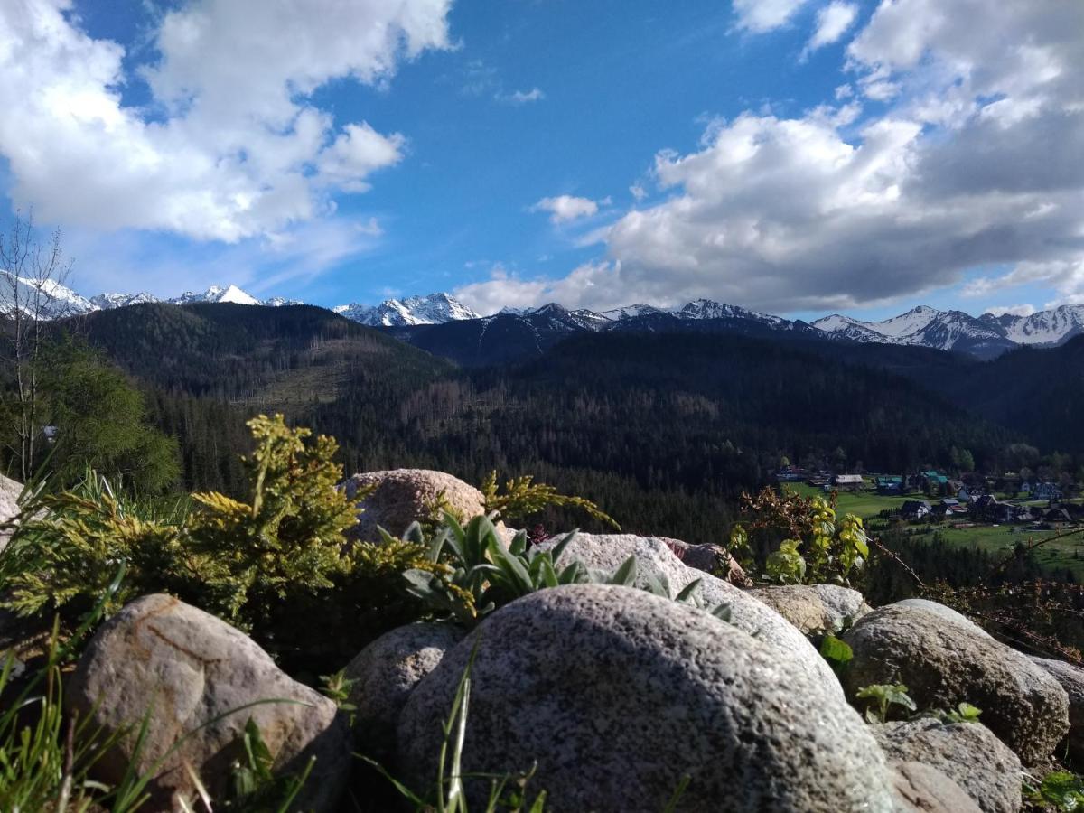 Willa Baska Zakopane Esterno foto